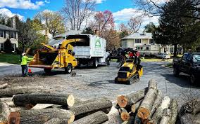 Best Aeration Services  in Phillips, WI
