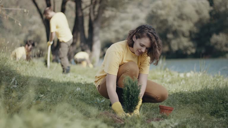 Best Lawn Fertilization  in Phillips, WI